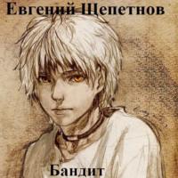 Бандит, аудиокнига Евгения Щепетнова. ISDN66987908