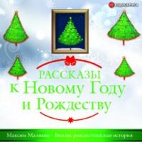 Вполне рождественская история, аудиокнига Максима Малявина. ISDN66988160