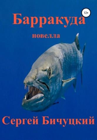 Барракуда - Сергей Бичуцкий