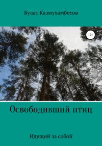 Освободивший птиц - Булат Казмухамбетов