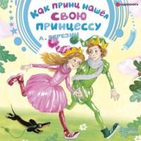 Как принц нашел свою принцессу. Сказочные истории, audiobook Антона Березина. ISDN67061418