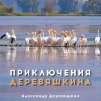 Приключения Деревяшкина, audiobook Александра Деревяшкина. ISDN67063995