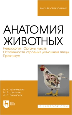 Анатомия животных. Неврология. Органы чувств. Особенности строения домашней птицы. Практикум. Учебное пособие для вузов - Николай Зеленевский