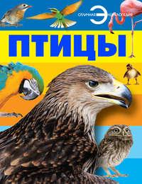 Птицы, audiobook Анны Спектор. ISDN6706908