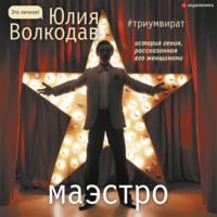 Маэстро, audiobook Юлии Волкодав. ISDN67088084