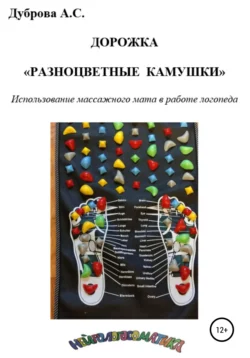 Дорожка «Разноцветные камушки». Использование массажного мата в работе логопеда - Анастасия Дуброва