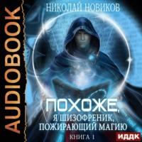Похоже, я шизофреник, пожирающий магию. Книга 1, audiobook Николая Новикова. ISDN67112193