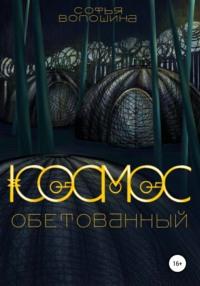 Космос обетованный - Софья Волошина