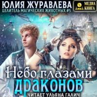 Небо глазами драконов, audiobook Юлии Журавлевой. ISDN67141131