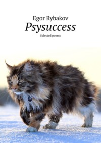 Psysuccess. Selected poems - Egor Rybakov