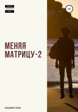 Меняя матрицу – 2 - Владимир Босин