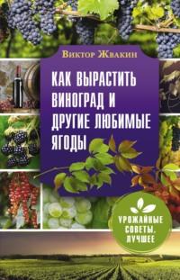 Как вырастить виноград и другие любимые ягоды - Виктор Жвакин