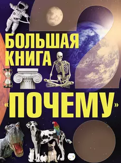 Большая книга «Почему» - Сергей Цеханский