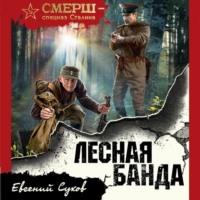 Лесная банда, książka audio Евгения Сухова. ISDN67229499