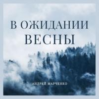 В ожидании весны - Андрей Марченко