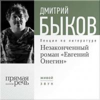 Лекция «Незаконченный роман Евгений Онегин», аудиокнига Дмитрия Быкова. ISDN6724798