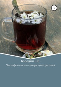 Чаи, кофе и квасы из дикорастущих растений - Евгений Бородин