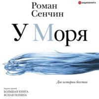 У моря, audiobook Романа Сенчина. ISDN67257764
