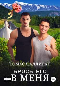 Брось его в меня - Томас Салливан