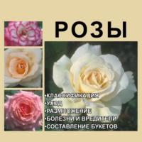 Розы - Игорь Гусев