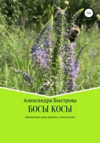 БОСЫ КОСЫ. Маленькие эпизоды большого пути, аудиокнига Александры Быстровой. ISDN67539725