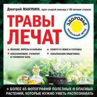 Травы лечат, аудиокнига Дмитрия Макунина. ISDN67574966