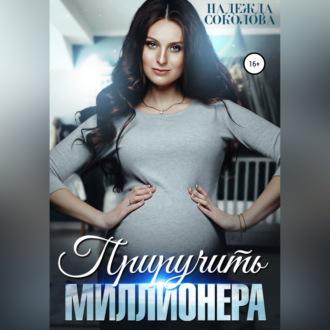 Приручить миллионера, аудиокнига Надежды Игоревны Соколовой. ISDN67604861