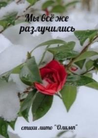 Мы всё же разлучились. Стихи лито «Олимп», аудиокнига Александра Георгиевича Акимова. ISDN67641128