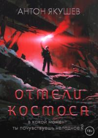 Отмели космоса, audiobook Антона Якушева. ISDN67668951