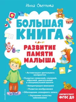 Большая книга. Развитие памяти малыша - Инна Светлова