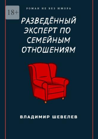 Разведённый эксперт по семейным отношениям. Роман не без юмора - Владимир Шевелев