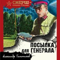 Посылка для генерала, audiobook Александра Тамоникова. ISDN67711577