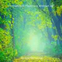 Путешествие Маркуса в зелёный лес, аудиокнига Антона Евгеньевича Фетисова. ISDN67713162