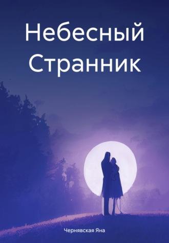 Небесный Странник, audiobook Яны Чернявской. ISDN67723077