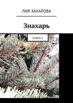 Знахарь. Книга 2, аудиокнига Лии Захаровой. ISDN67777184