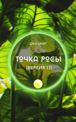 ТОЧКА РОСЫ [версия 1.1], аудиокнига Джо Смита. ISDN67786817