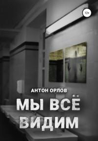 Мы все видим, audiobook Антона Орлова. ISDN67793846