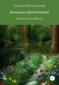 Большое приключение маленьких зайчат, audiobook Натальи Сергеевны Белокрыловой. ISDN67797153