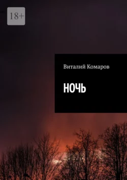 НОЧЬ, audiobook Виталия Комарова. ISDN67798347