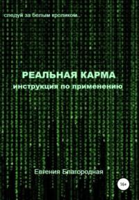 Реальная Карма. Инструкция по применению, audiobook Евгении Благородной. ISDN67806738