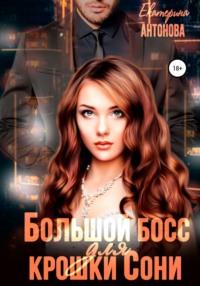 Большой босс для крошки Сони, audiobook Екатерины Антоновой. ISDN67808706