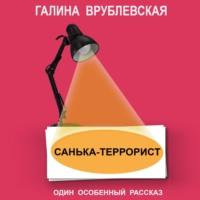 Санька-террорист, książka audio Галины Врублевской. ISDN67838138