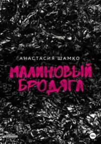 Малиновый бродяга, audiobook Анастасии Ивановны Шамко. ISDN67902380