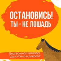 Остановись! Ты – не лошадь, audiobook Екатерины Ситновой. ISDN67929765