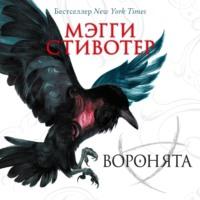 Воронята, audiobook Мэгги Стивотер. ISDN67940970