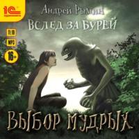 Выбор мудрых, książka audio Андрея Рымина. ISDN67949174