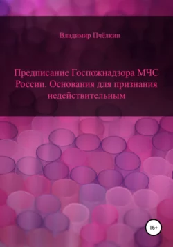 Предписание Госпожнадзора МЧС РФ. Основания для признания недействительным - Владимир Пчёлкин