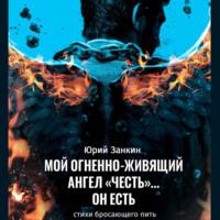 Мой огненноживящий Ангел «Честь»… он Есть, аудиокнига Юрия Георгиевича Занкина. ISDN67966059