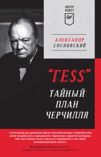 «ГESS». Тайный план Черчилля, audiobook Александра Сосновского. ISDN67966388