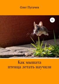 Как мышата птенца летать научили, audiobook Олега Пугачева. ISDN67967219